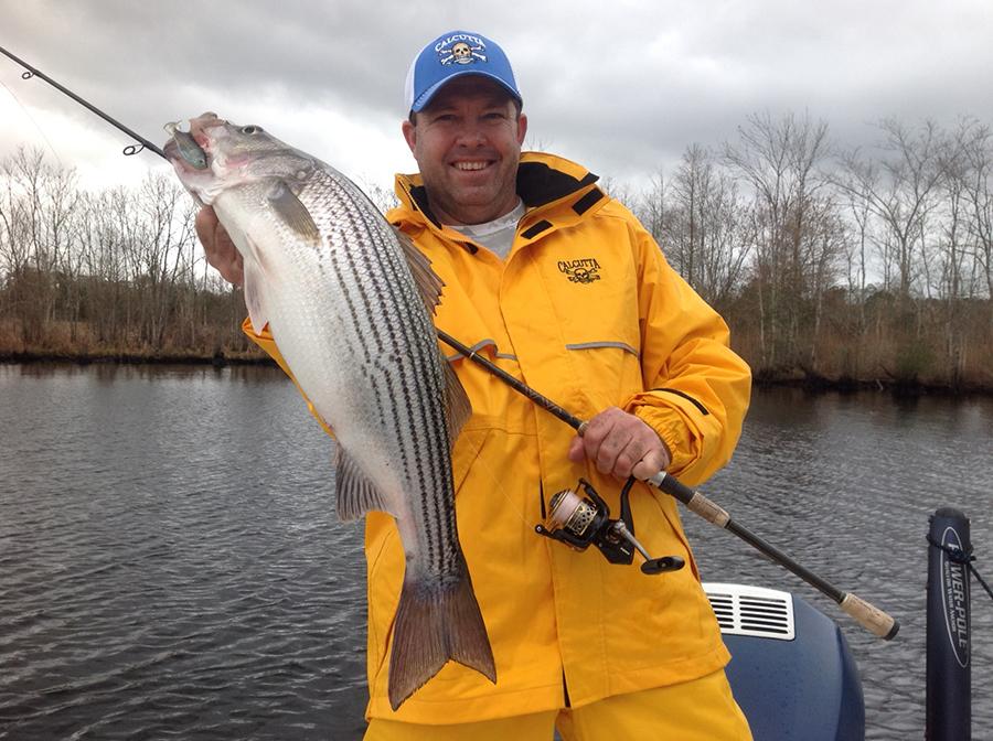Striper Fishing Guide