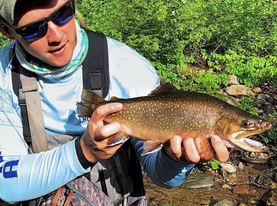 Trout Fishing Guide