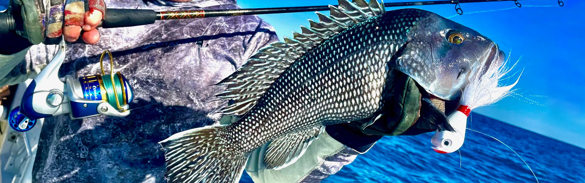 best black sea bass lures Dr.Fish Saltwater Fishing 5 Inches Surf Fishing Sriped Lures Saltwater Minnow Mustad Hooks Jerkbait Popper Plugs Inshore Offshore Fishing Mackerel Tarpon Barracuda Lures : Sports & Outdoors Premium Flat Head Jig 1.5oz Rockaway Wrecker in Orange/Green Best Surf Night Fishing Surfcasting