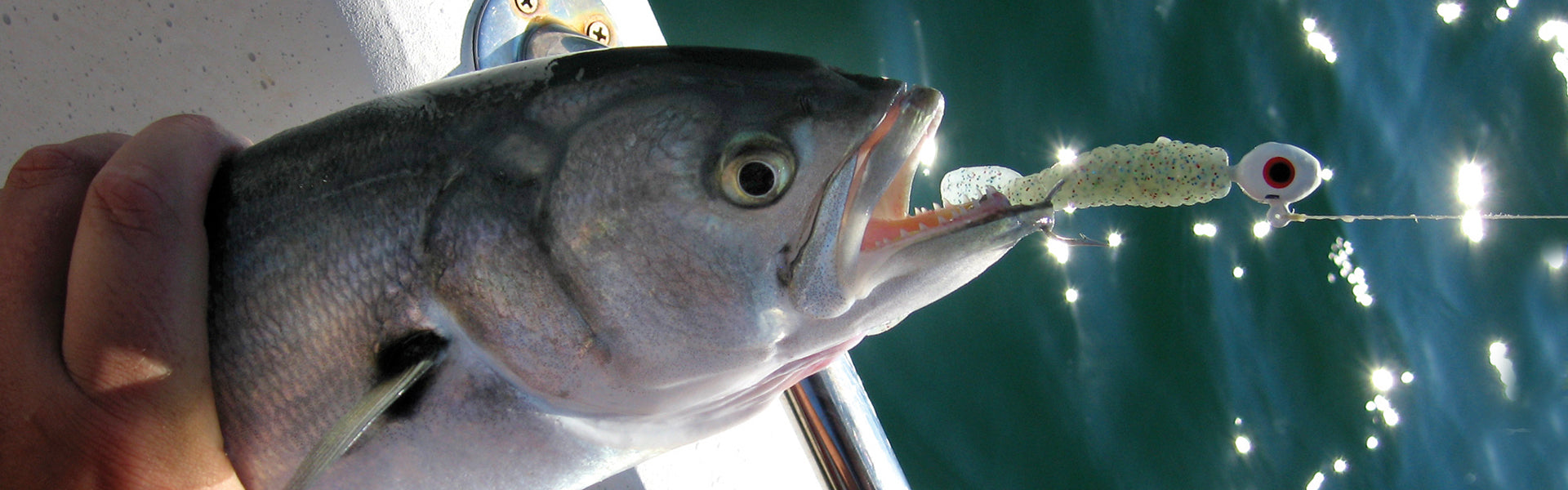 Soft Plastics and Heads