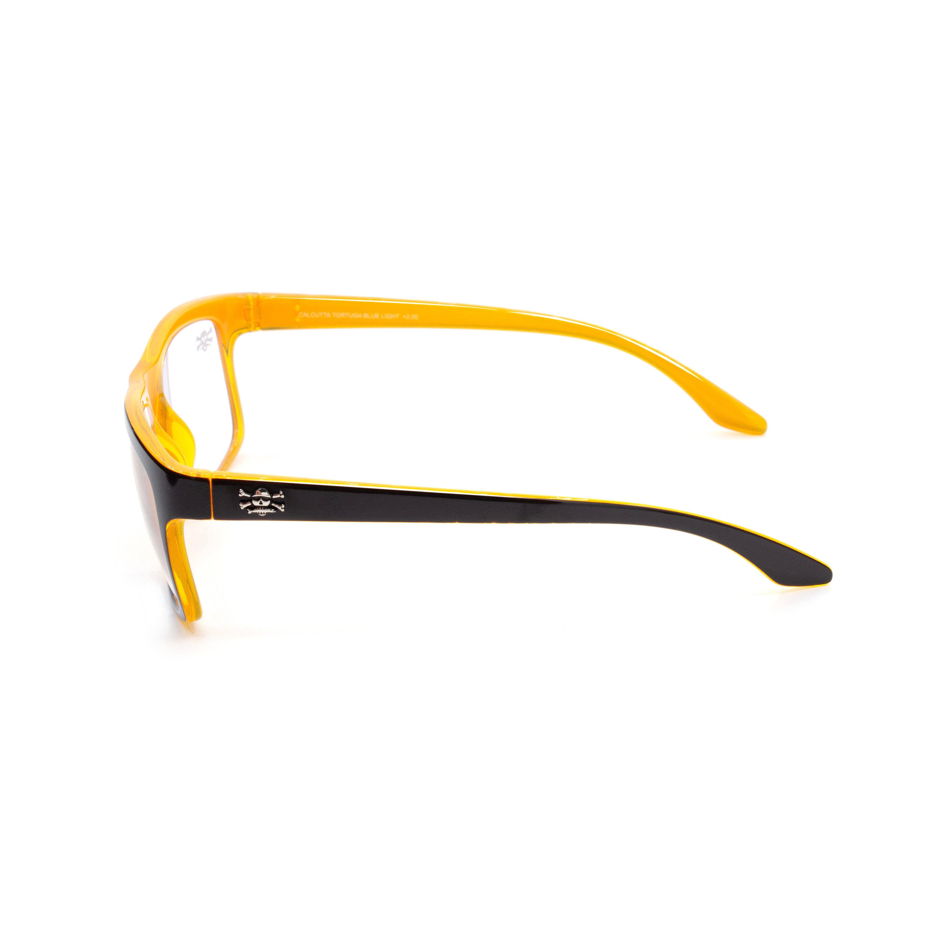 Calcutta Tortuga reading glasses - profile