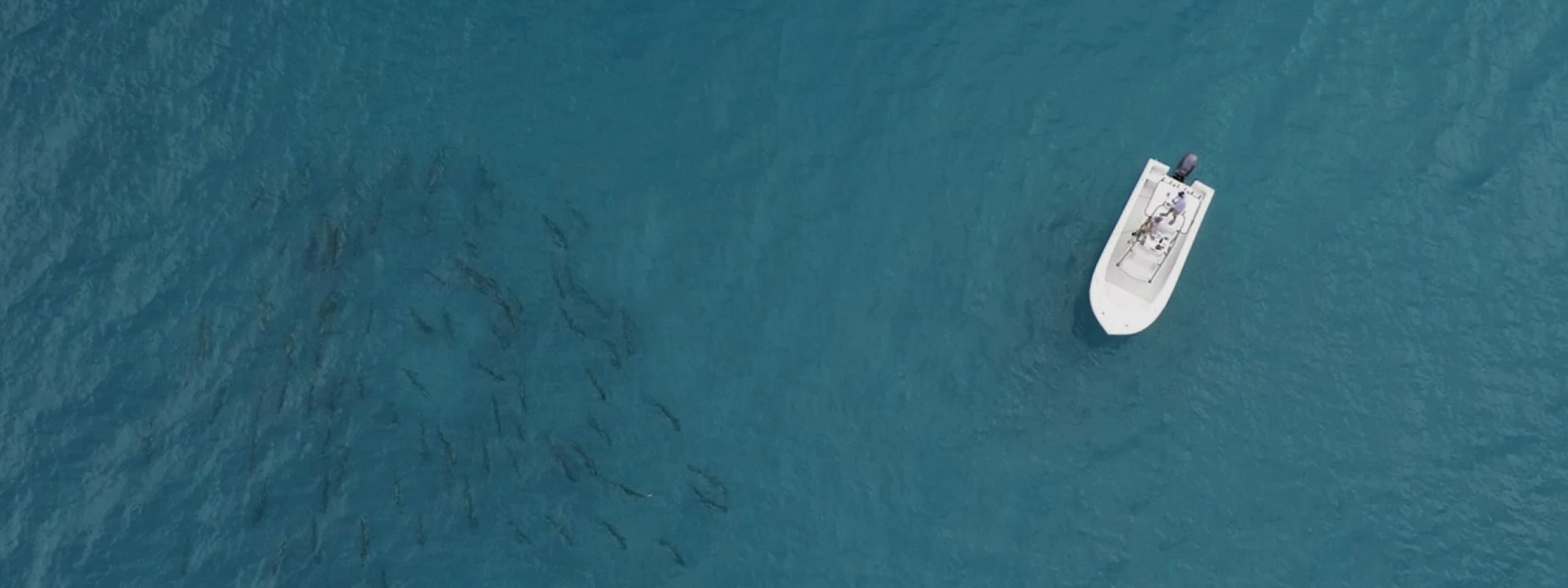 How to Enter Reel & Relax Gamefish Giveaway aerial shot of boat