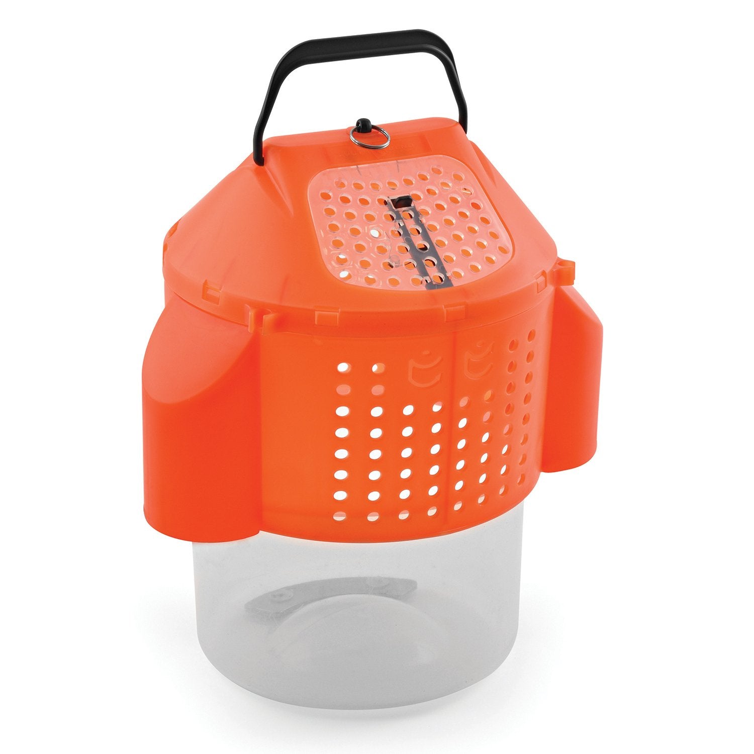 Collapsible Bait Bucket