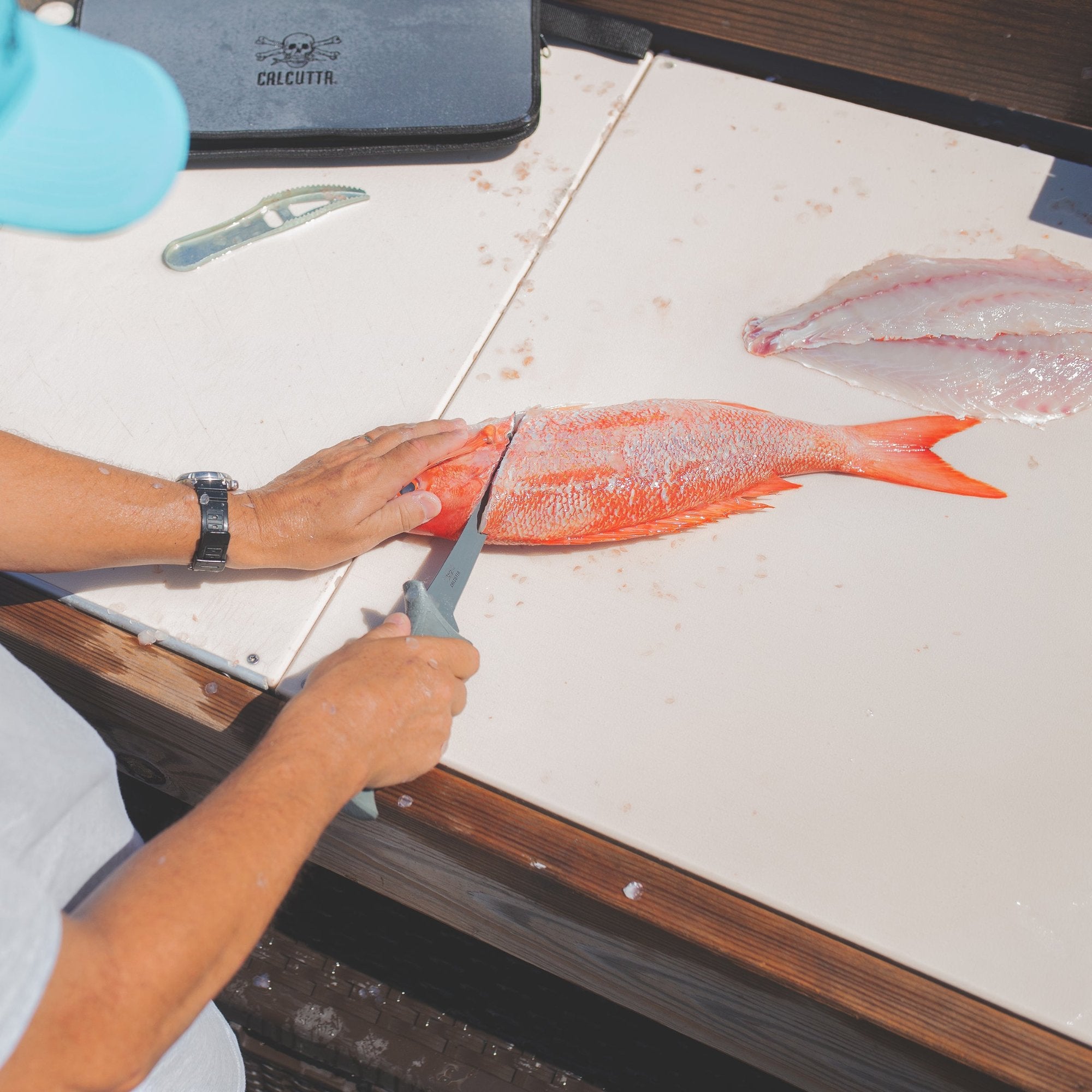 Calcutta fillet knife filleting fish