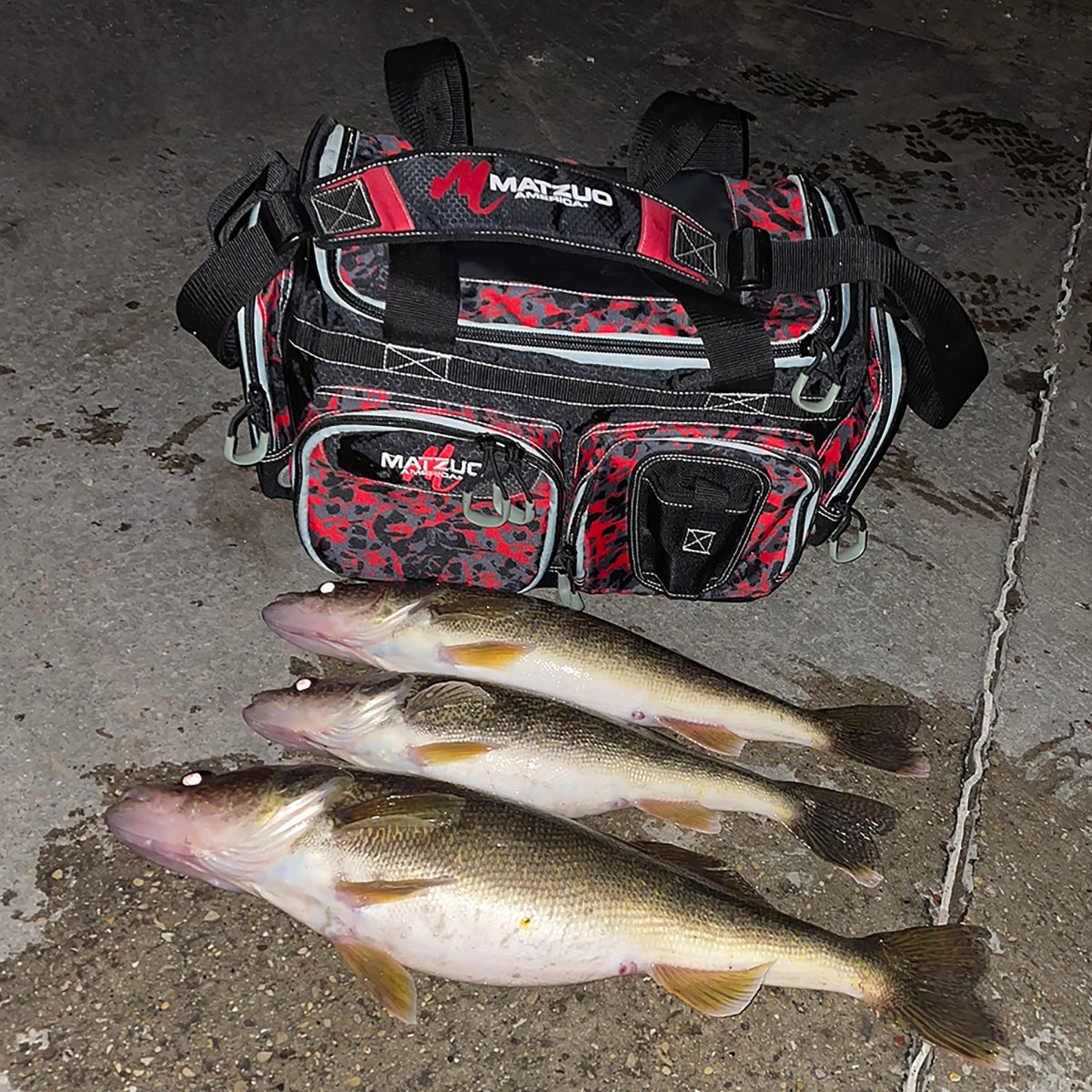 Caught fish with Matzuo tackle bag