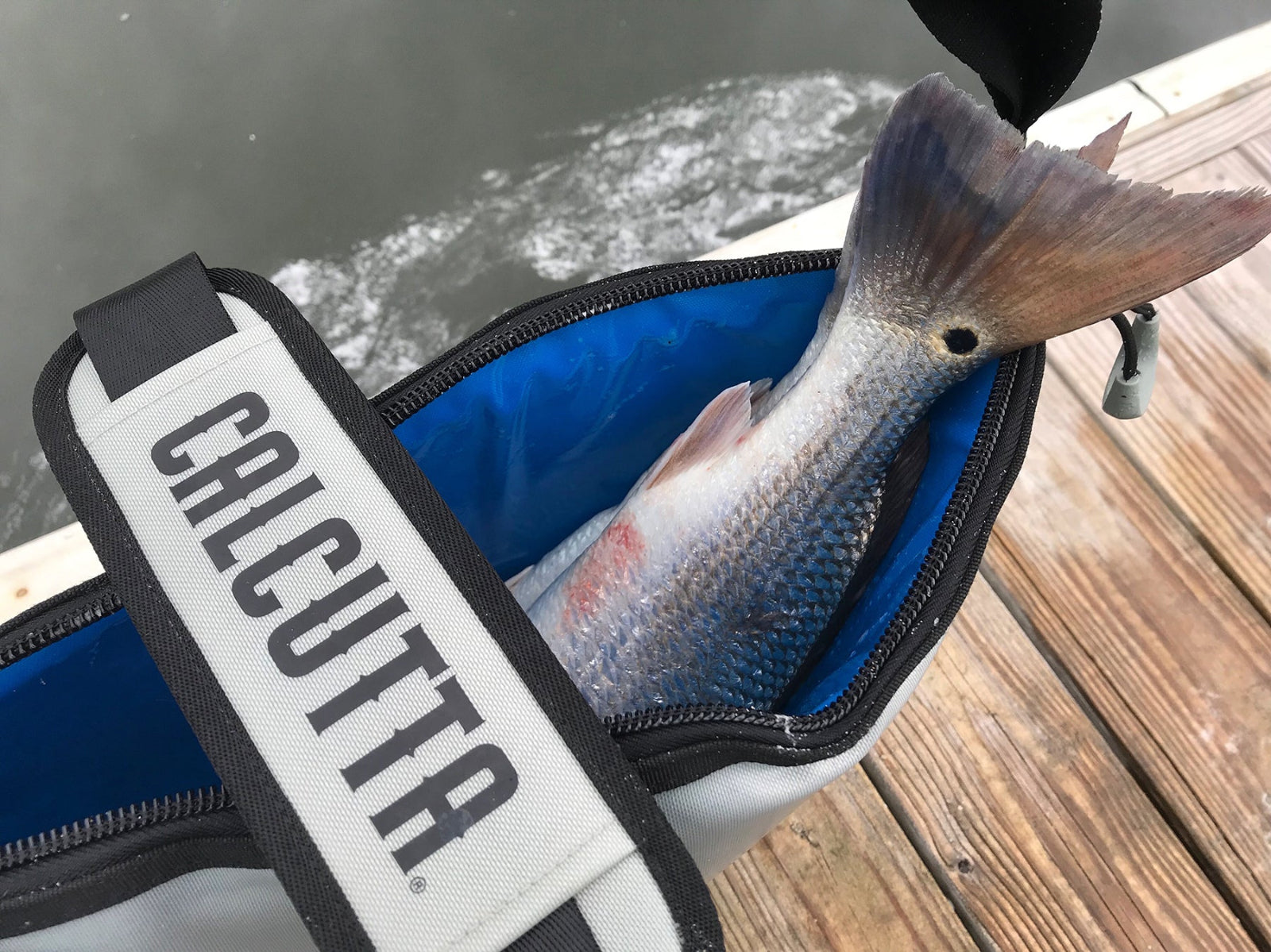 Calcutta fish cooler bag with redfish