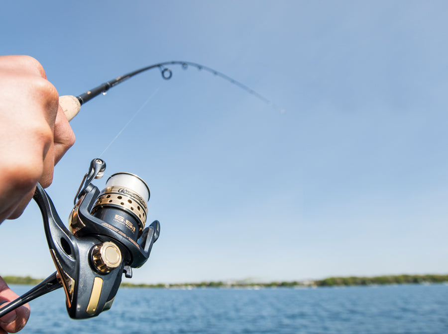 Guide to Freshwater Fishing Rod Action