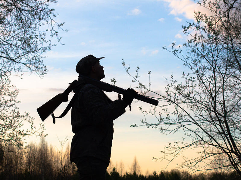 Basic Rules of Gun Safety