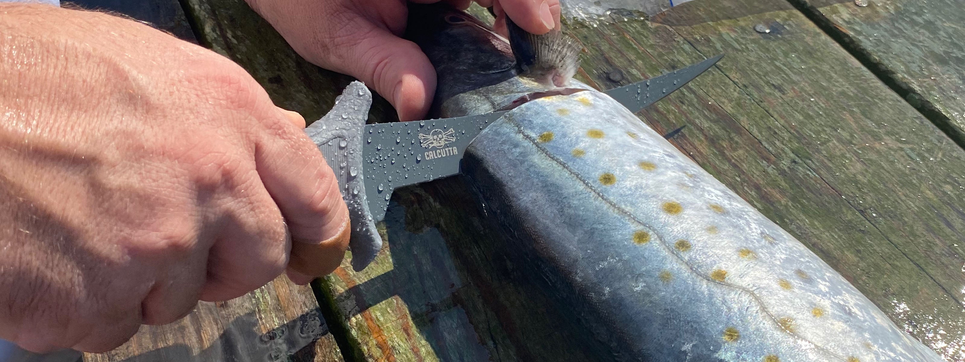 Inshore Essentials