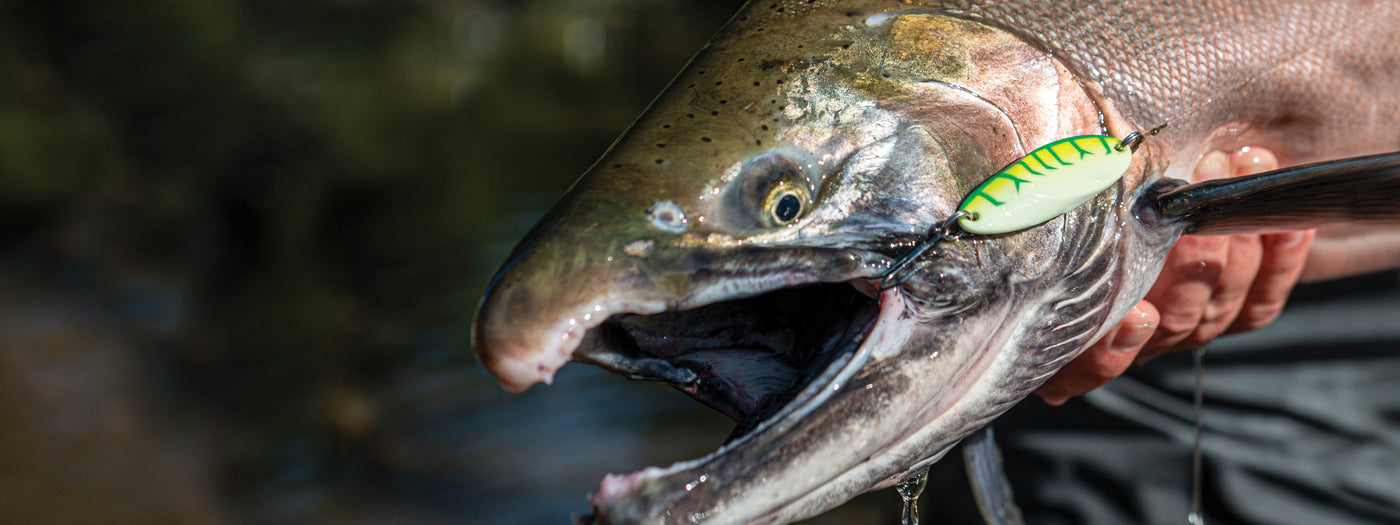 Danielson Calcutta Outdoors