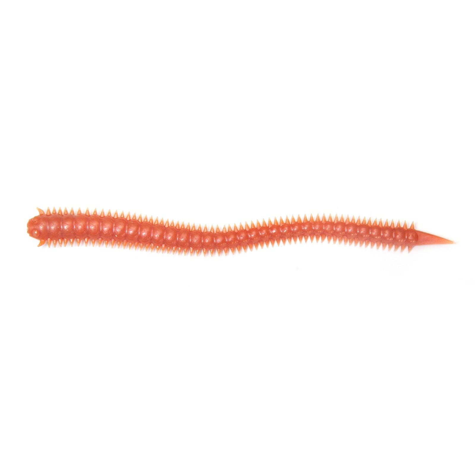 fishing dry sandworm - Buy fishing dry sandworm at Best Price in