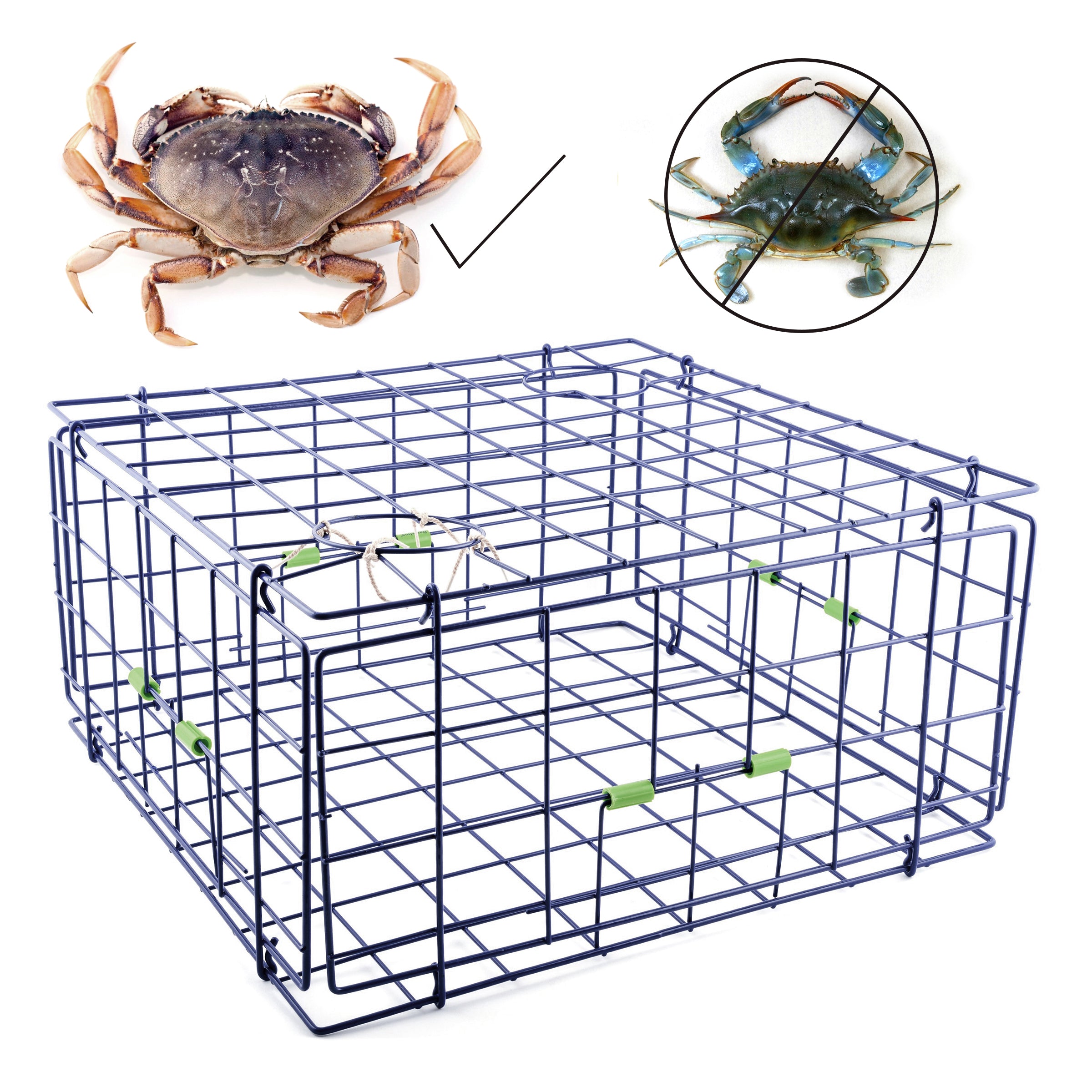 24 Fold-Up Pacific Crab Trap Deluxe