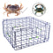 24" Fold-Up Pacific Crab Trap Deluxe