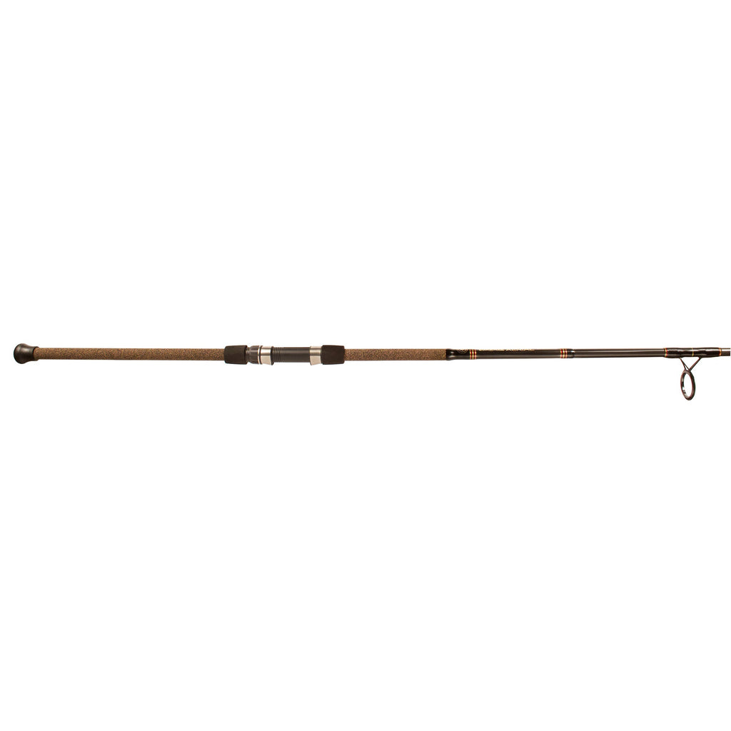 ariel fishing pole Aerial Surf Spinning Rods