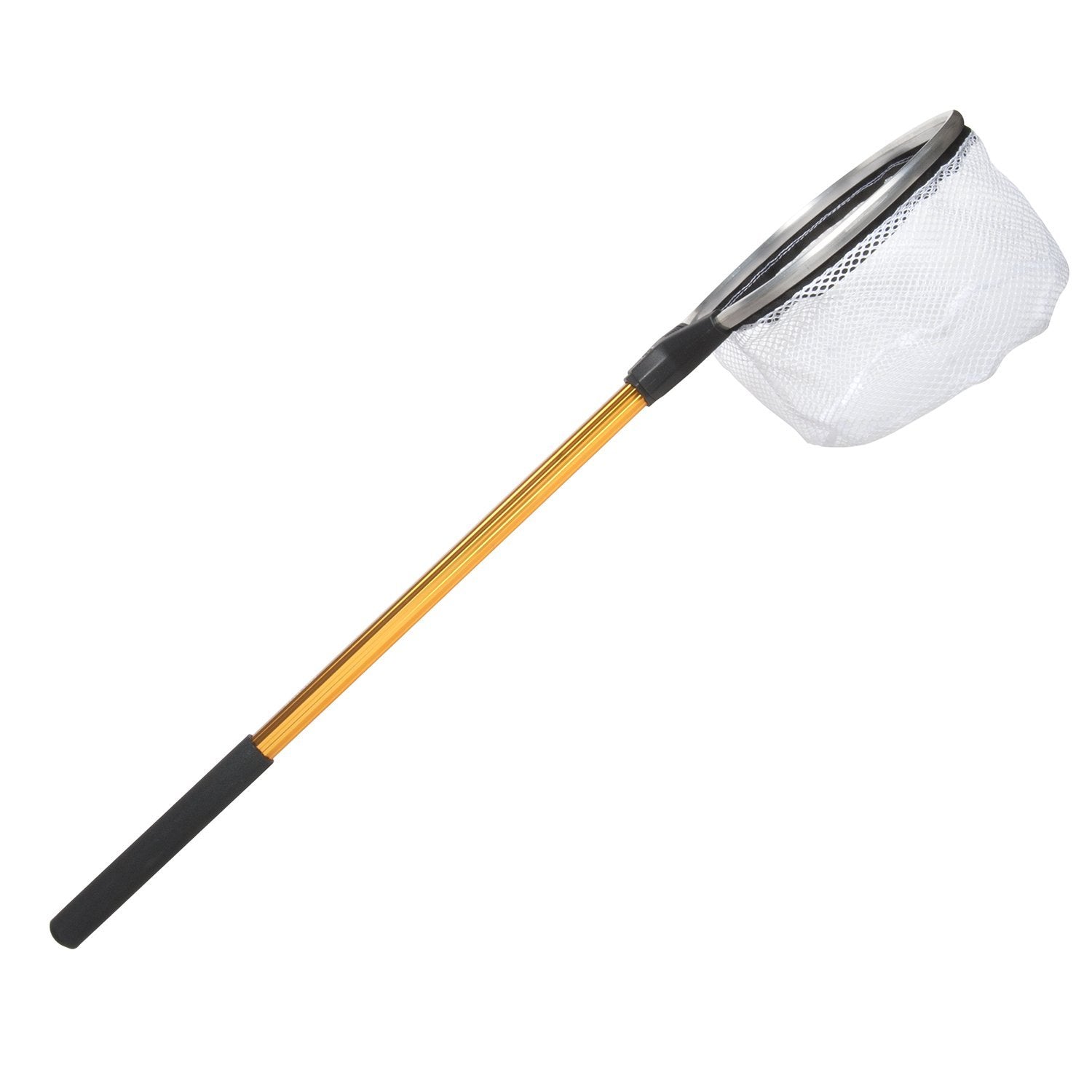 Calcutta bait well net