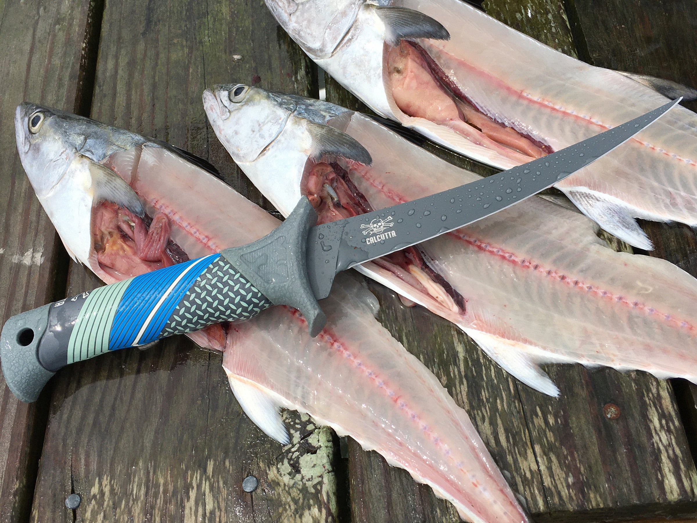 Fish Fillet Knife Kit