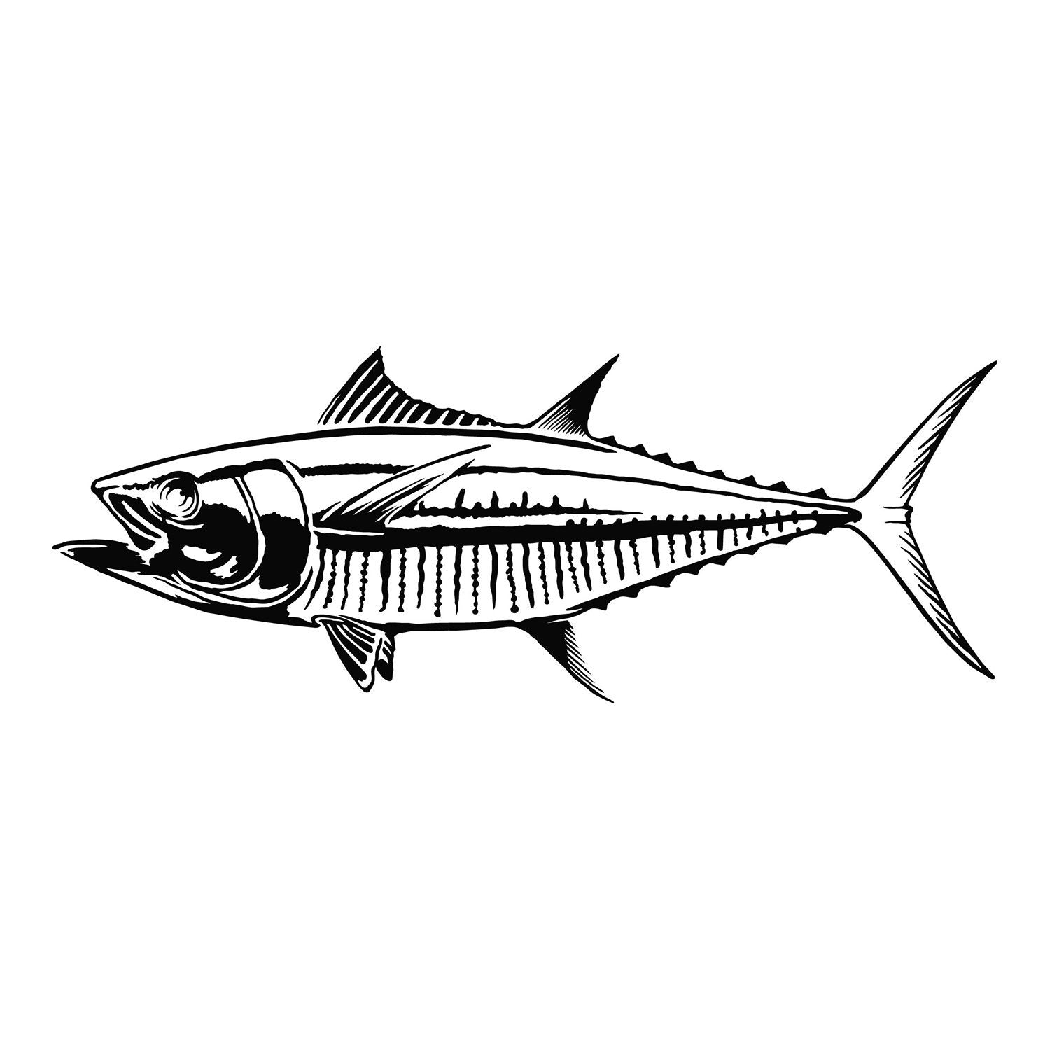 Fish Decals - Multiple Species