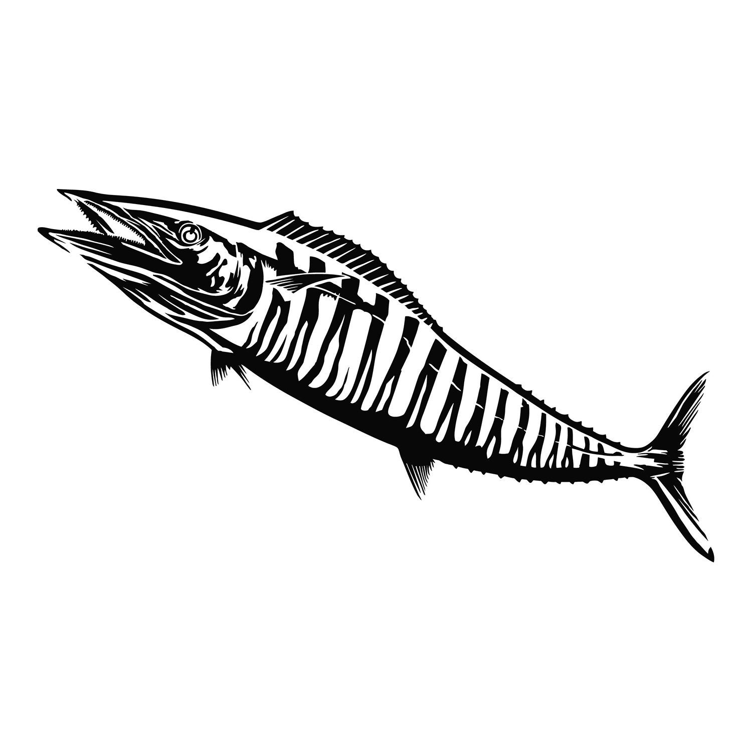 Fish Decals - Multiple Species