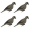 Dove Decoy - 4 Pack
