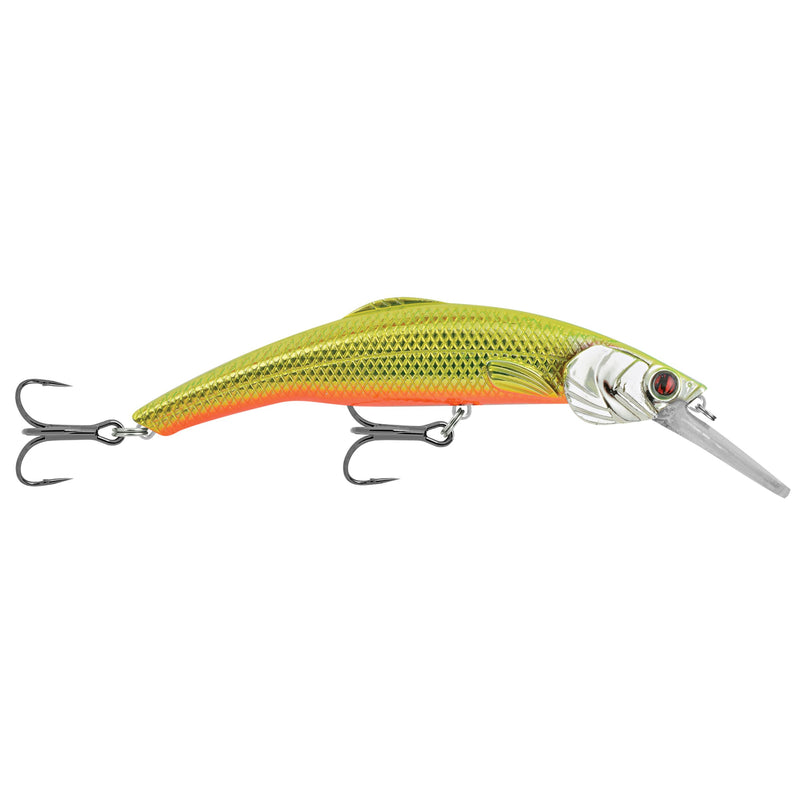 Kinchou Minnow
