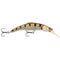 Kinchou Minnow