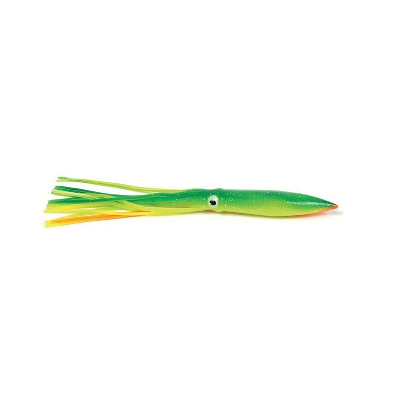 Bulbhead Squid