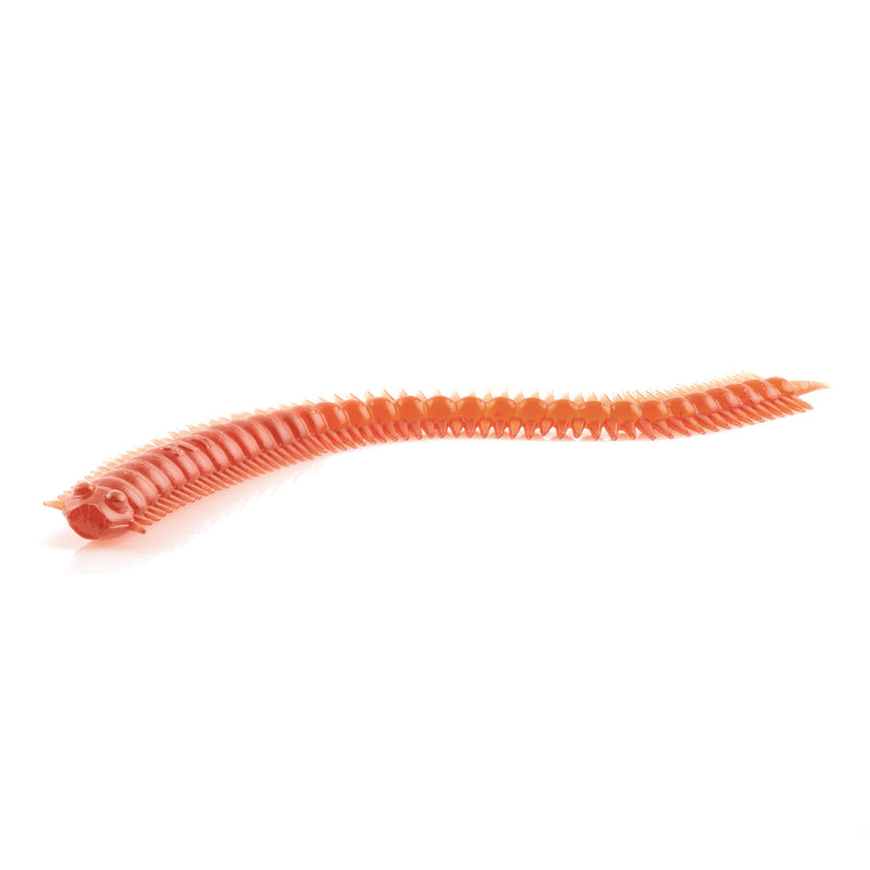 Super Scented Sand Worms