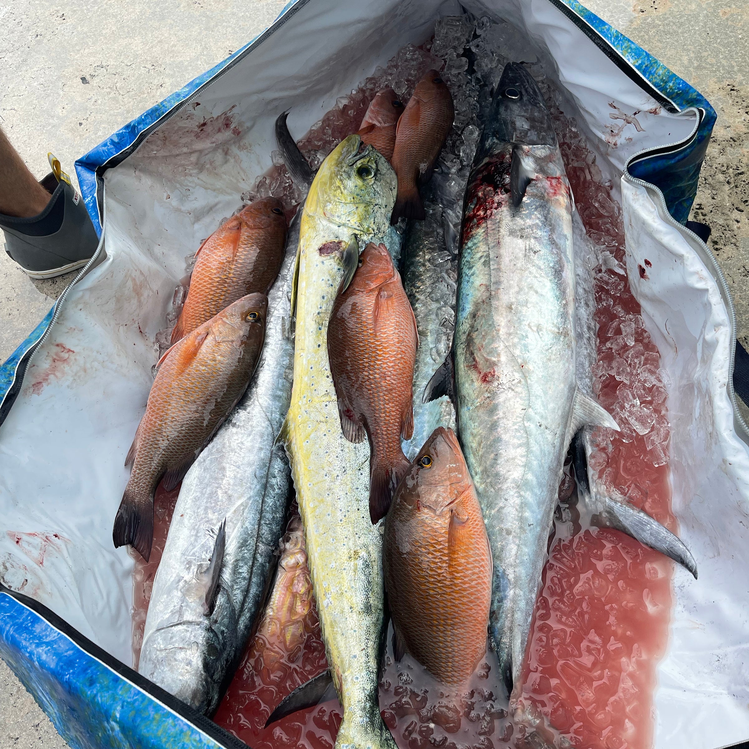 Fish cooler kill bag in Mossy Oak Coastal Shoreline pattern with fish