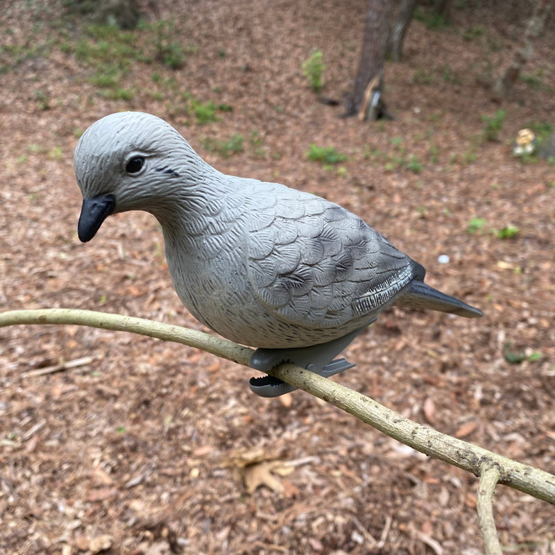 Dove Decoy - 4 Pack